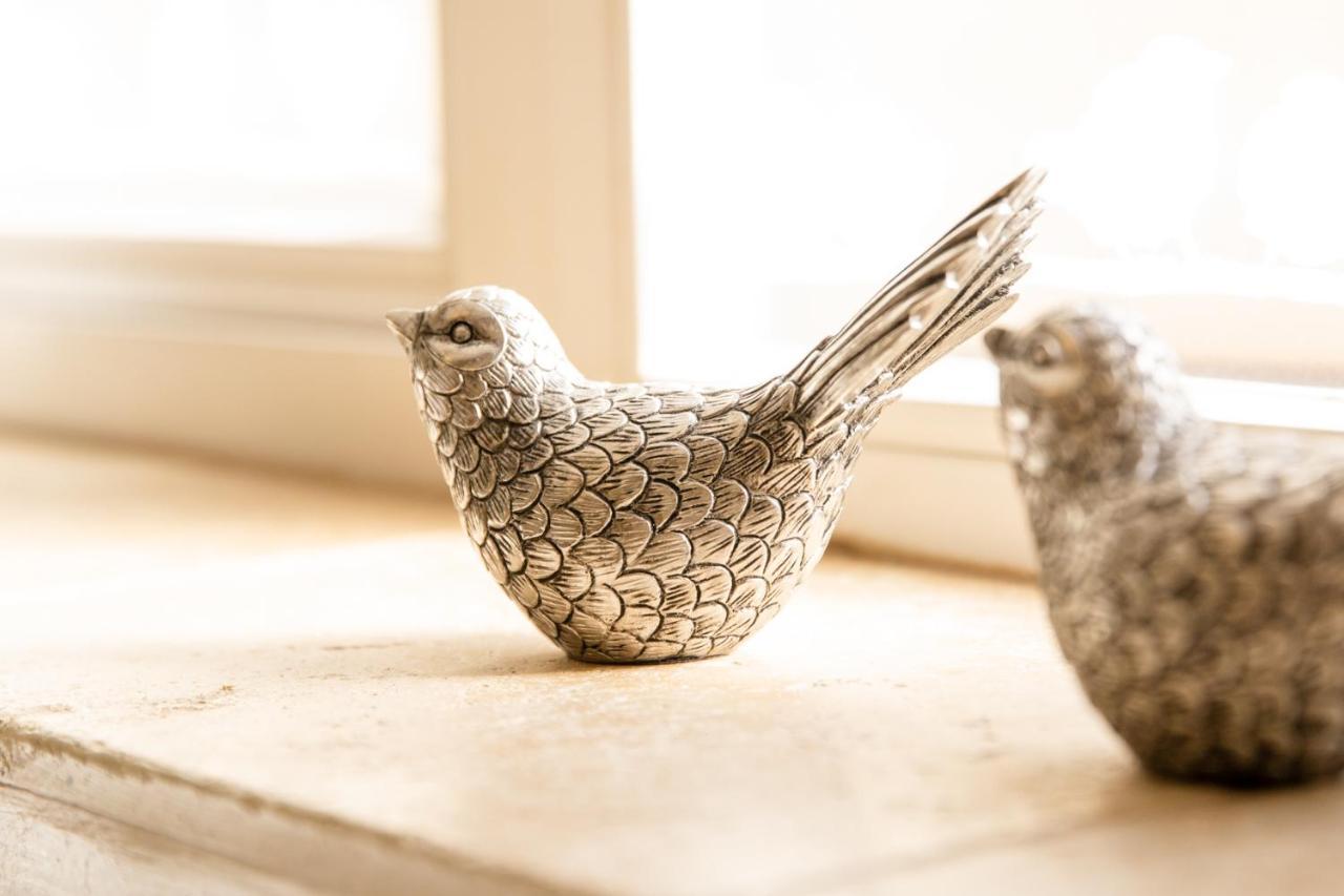 Higher Weddicott Barn Holiday Cottage - Self Catering Chagford Exteriér fotografie